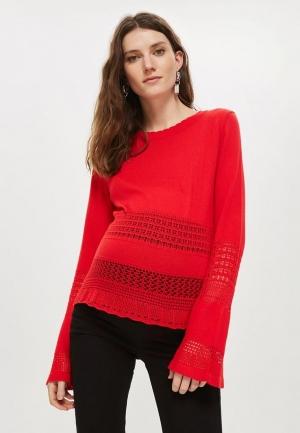   Topshop Maternity