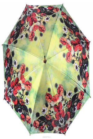 Зонт Bigbrella