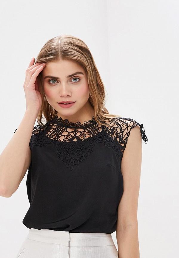   Lila Violetta