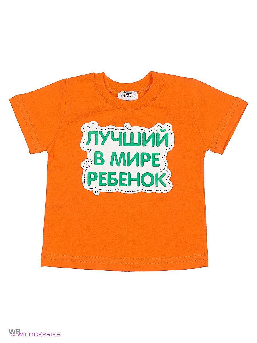   Ехидна