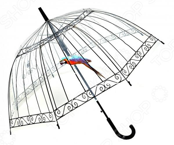 Зонт Bradex