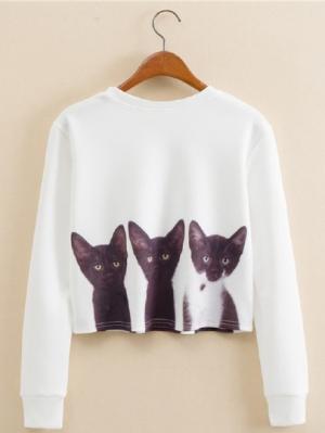 Свитшот SheIn Свитшот SheIn