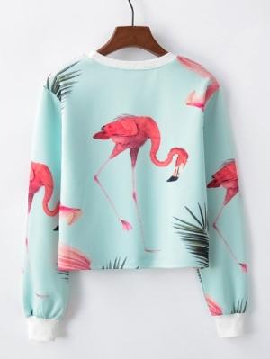 Свитшот SheIn