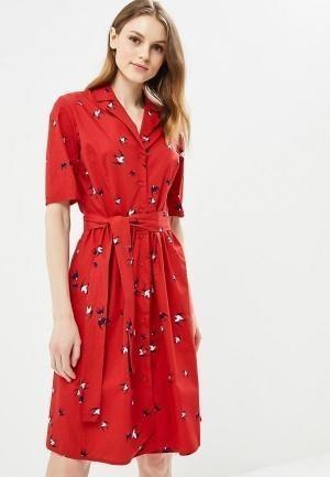 Платье Zarina Zarina ZA004EWAZNF7 Платье Zarina