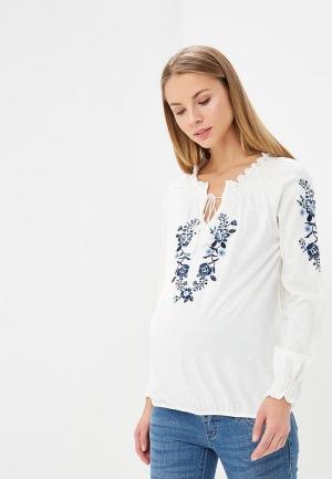 Блуза Dorothy Perkins Maternity