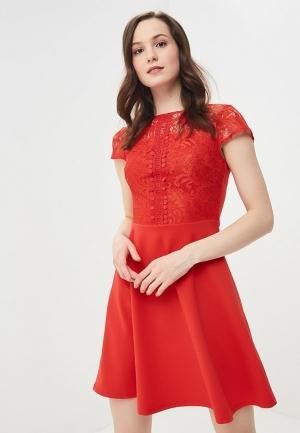 Платье Dorothy Perkins