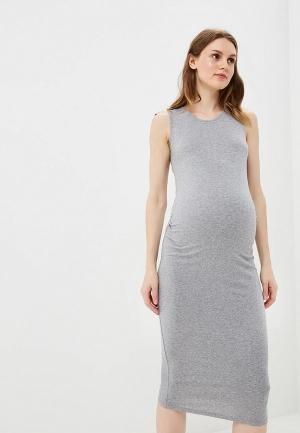 Платье Dorothy Perkins Maternity