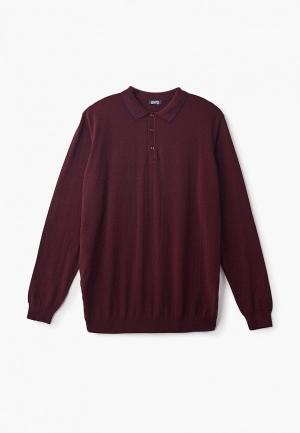 Поло  - бордовый цвет