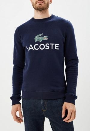 Свитшот Lacoste