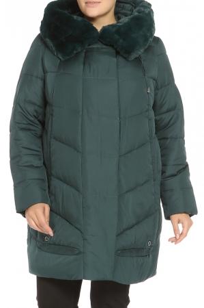 Куртки - Темно-зеленый цвет