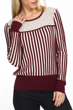 Платье до колена  - Maroon, Cream цвет