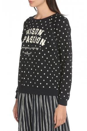 Толстовка Scotch&Soda