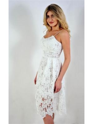 Платье  -  цвет