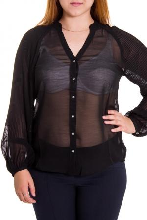 Блузка LacyWear