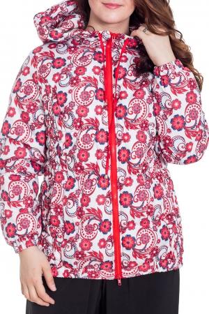 Куртка LacyWear