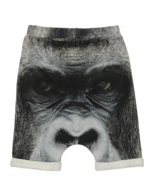 Бермуды  - Черный цвет