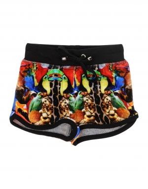 Шорты PHILIPP PLEIN