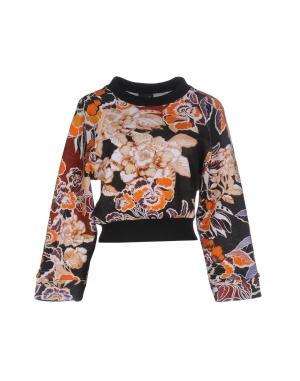 Толстовка JUST CAVALLI