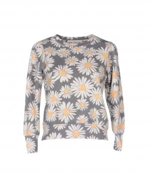 Толстовка WILDFOX