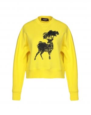 Толстовка DSQUARED2