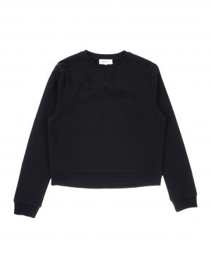 Толстовка CARVEN