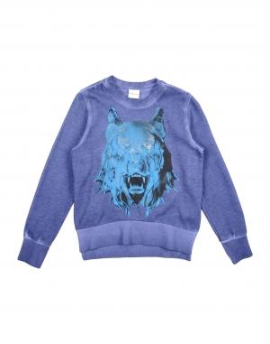 Толстовка DIESEL