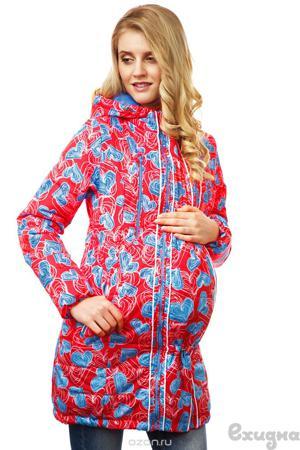 Куртка Ехидна