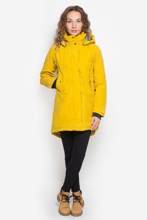 Парка Didriksons1913