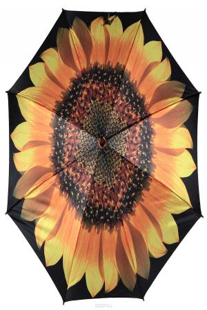 Зонт Bigbrella