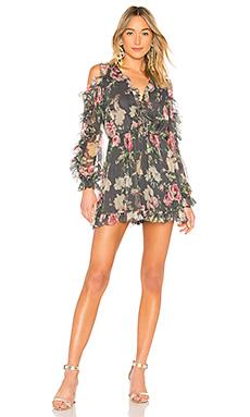 Шорты Zimmermann