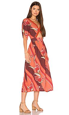 Платье NOVELLA ROYALE