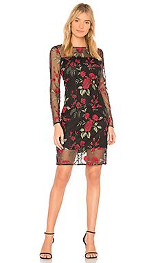 Платье cupcakes and cashmere Платье cupcakes and cashmere