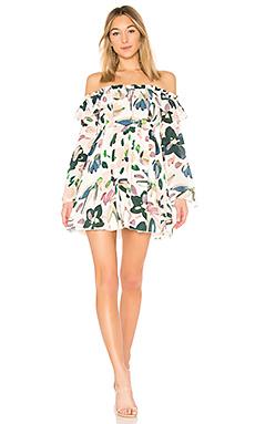 Платье STONE_COLD_FOX