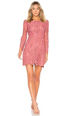 Платье cupcakes and cashmere Платье cupcakes and cashmere