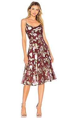 Платье Alice + Olivia