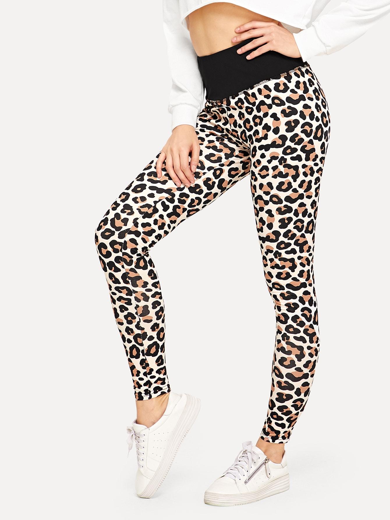 Леггинсы SheIn