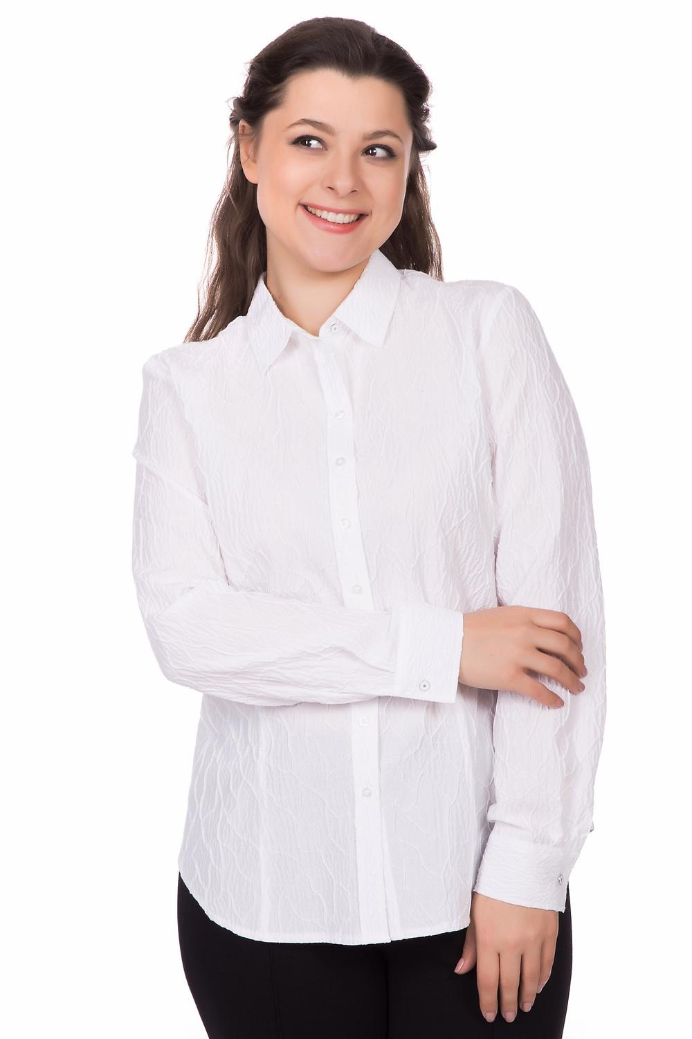 Блуза Erfo