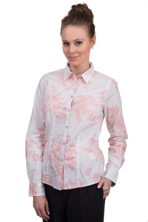 Рубашка Arqueonautas