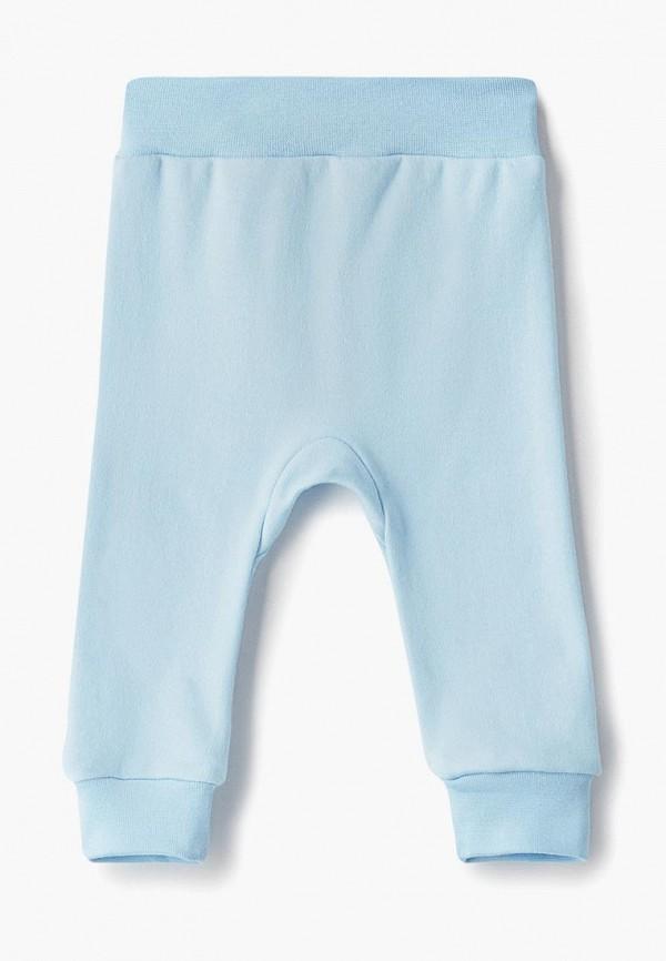 Брюки и шорты  - голубой цвет