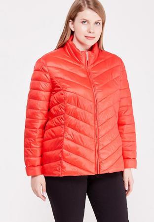 Куртка Dorothy Perkins Curve