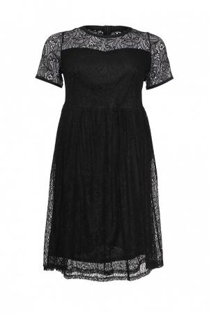 Платье Dorothy Perkins Curve