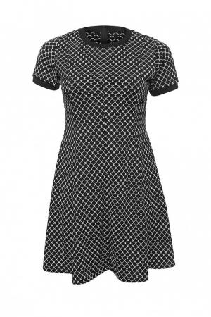 Платье Dorothy Perkins Curve