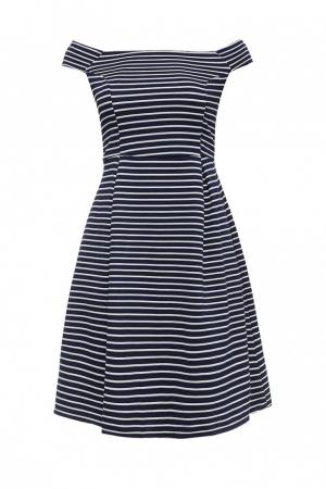 Платье Dorothy Perkins Curve