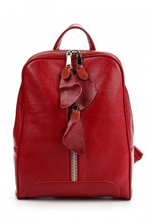 Рюкзак  - красный цвет