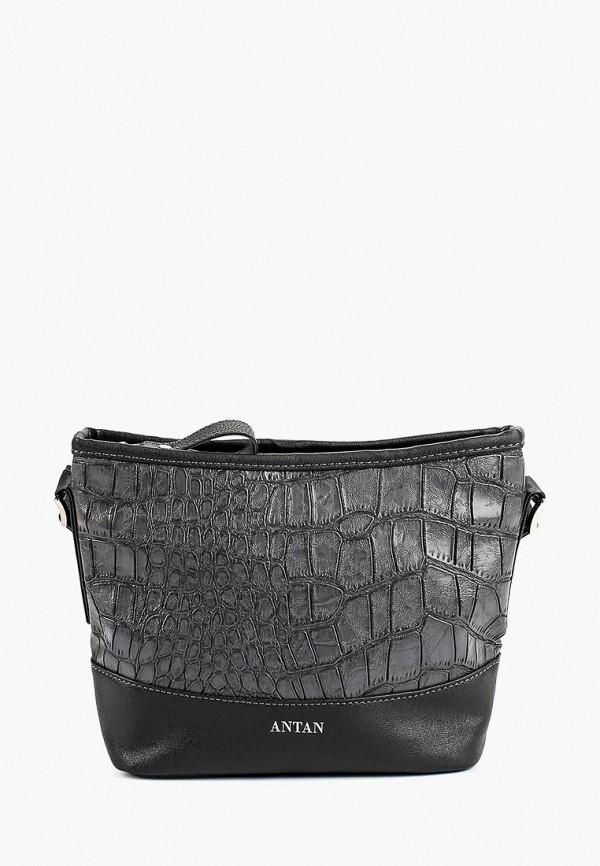 Сумка Antan