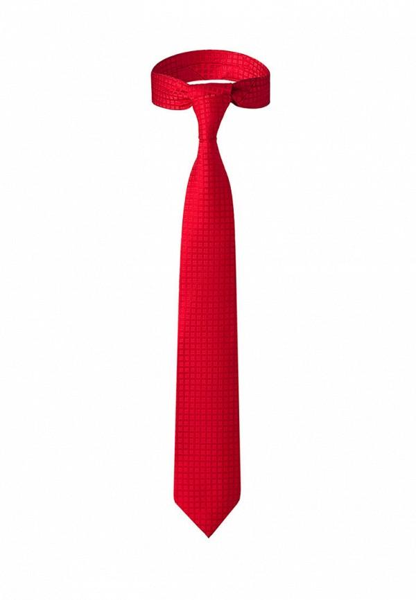 Сумка  - красный цвет