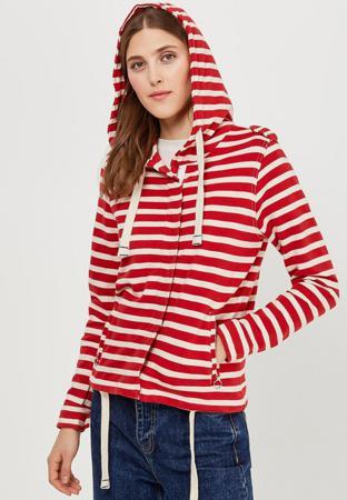 Толстовка Springfield