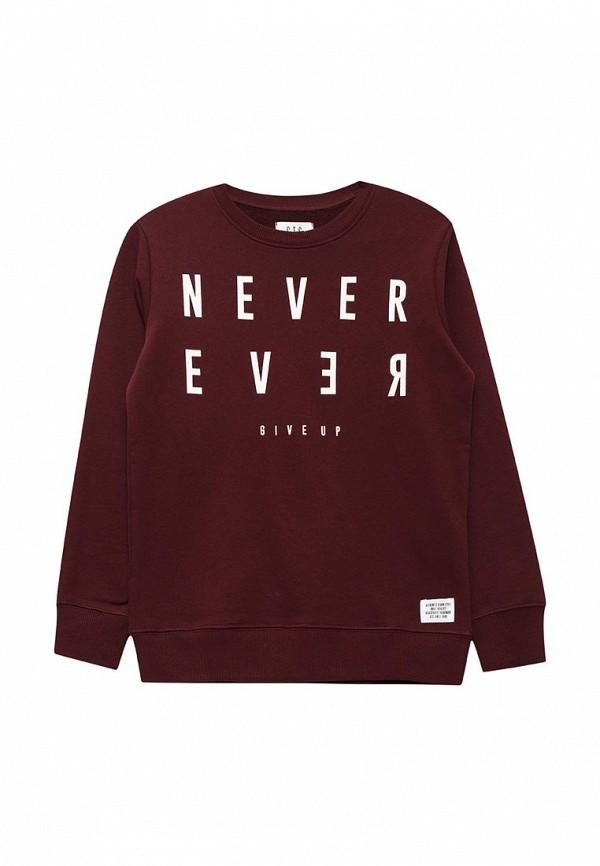 Толстовки  - бордовый цвет