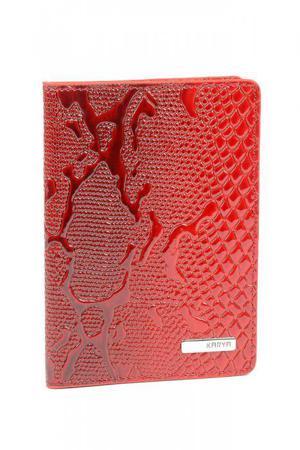 Обложка для документов David Jones