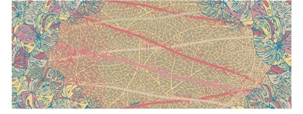 Палантин Labbra